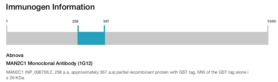 MAN2C1 Monoclonal Antibody (1G12)