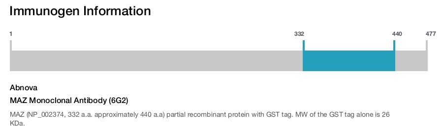MAZ Monoclonal Antibody (6G2)