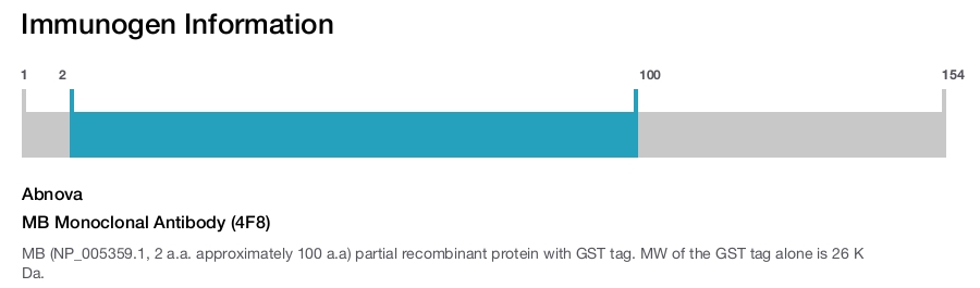 MB Monoclonal Antibody (4F8)