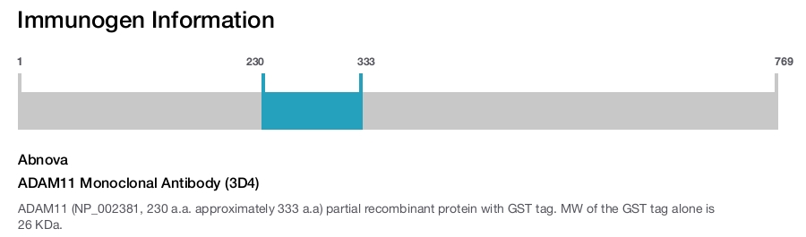 ADAM11 Monoclonal Antibody (3D4)