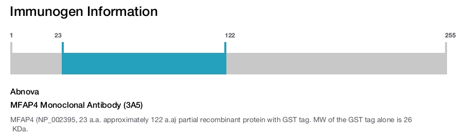MFAP4 Monoclonal Antibody (3A5)