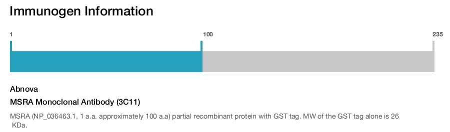 MSRA Monoclonal Antibody (3C11)