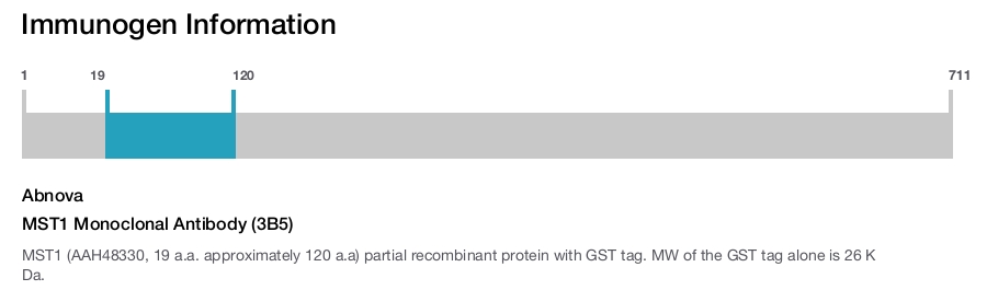 MST1 Monoclonal Antibody (3B5)