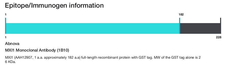 MXI1 Monoclonal Antibody (1B10)