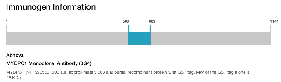 MYBPC1 Monoclonal Antibody (3G4)