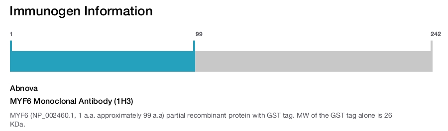 MYF6 Monoclonal Antibody (1H3)