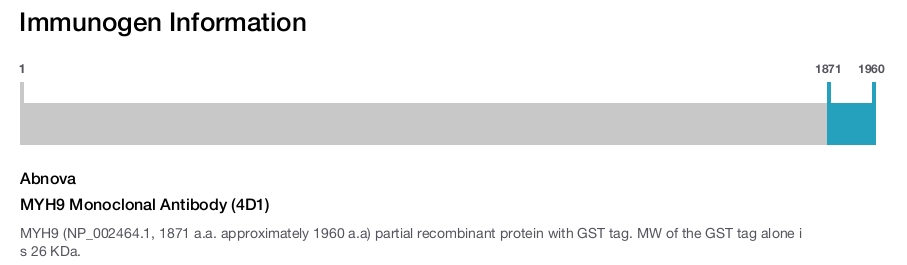 MYH9 Monoclonal Antibody (4D1)