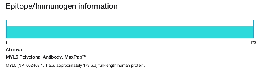 MYL5 Polyclonal Antibody, MaxPab&trade;