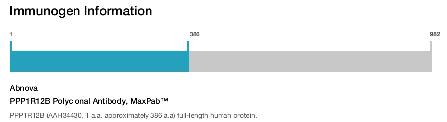 PPP1R12B Polyclonal Antibody, MaxPab™