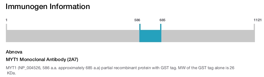 MYT1 Monoclonal Antibody (2A7)