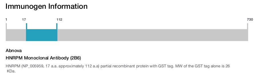 HNRPM Monoclonal Antibody (2B6)