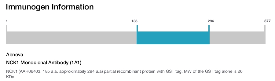 NCK1 Monoclonal Antibody (1A1)
