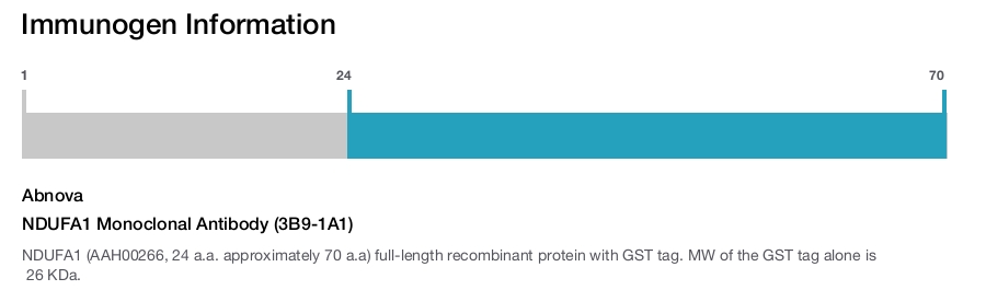NDUFA1 Monoclonal Antibody (3B9-1A1)