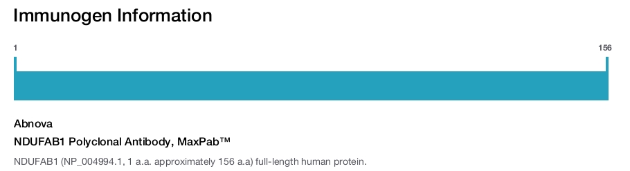 NDUFAB1 Polyclonal Antibody, MaxPab™