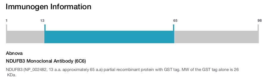 NDUFB3 Monoclonal Antibody (6C6)