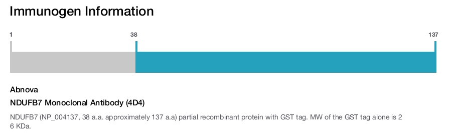 NDUFB7 Monoclonal Antibody (4D4)