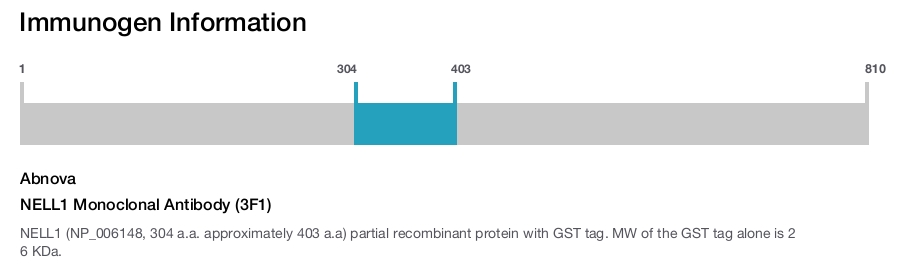 NELL1 Monoclonal Antibody (3F1)