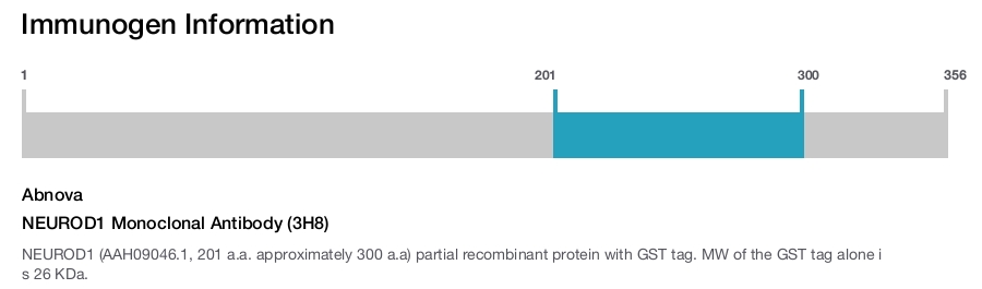 NEUROD1 Monoclonal Antibody (3H8)