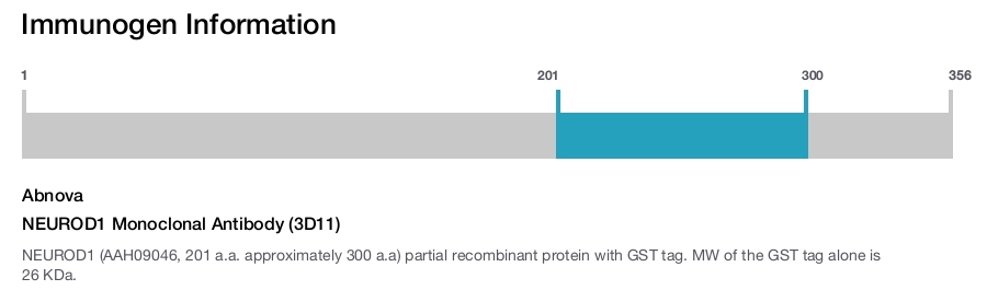 NEUROD1 Monoclonal Antibody (3D11)