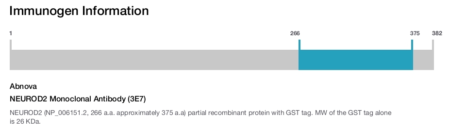 NEUROD2 Monoclonal Antibody (3E7)