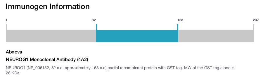 NEUROG1 Monoclonal Antibody (4A2)