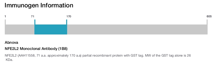 NFE2L2 Monoclonal Antibody (1B8)