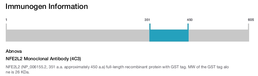 NFE2L2 Monoclonal Antibody (4C3)