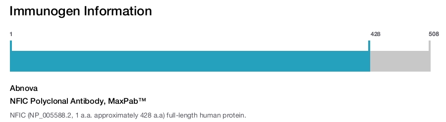 NFIC Polyclonal Antibody, MaxPab™