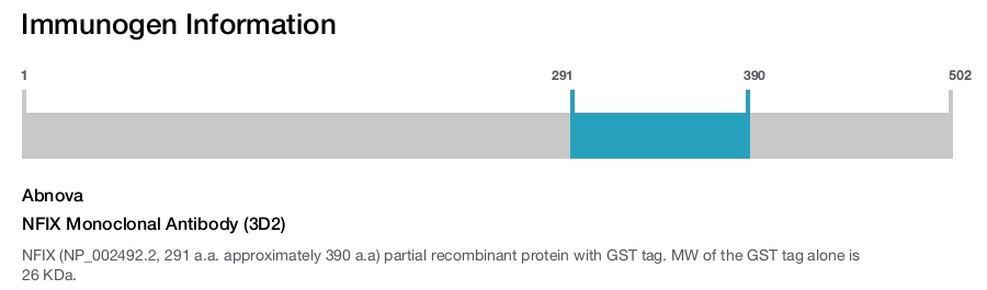 NFIX Monoclonal Antibody (3D2)