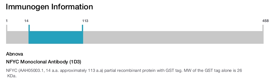 NFYC Monoclonal Antibody (1D3)