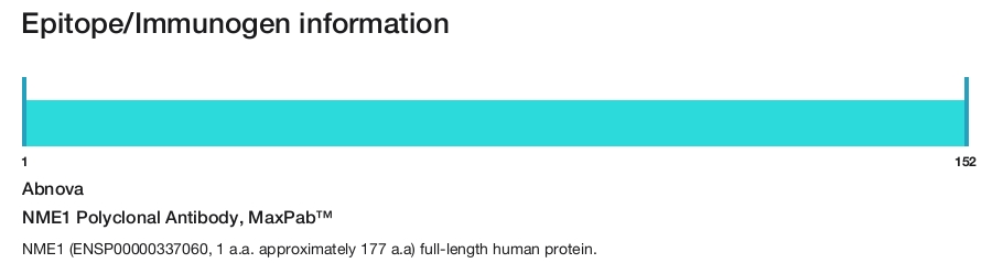 NME1 Polyclonal Antibody, MaxPab&trade;