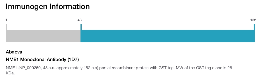 NME1 Monoclonal Antibody (1D7)