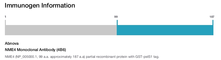 NME4 Monoclonal Antibody (4B6)