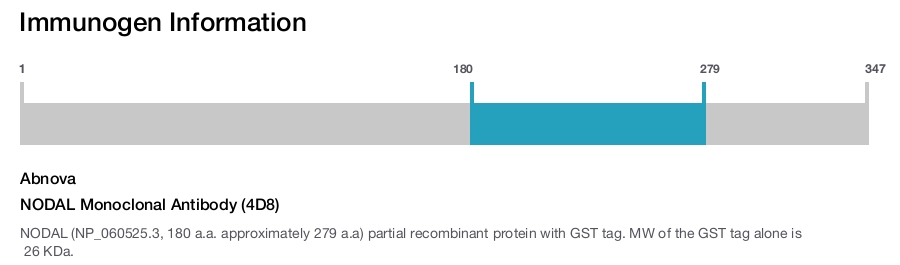 NODAL Monoclonal Antibody (4D8)