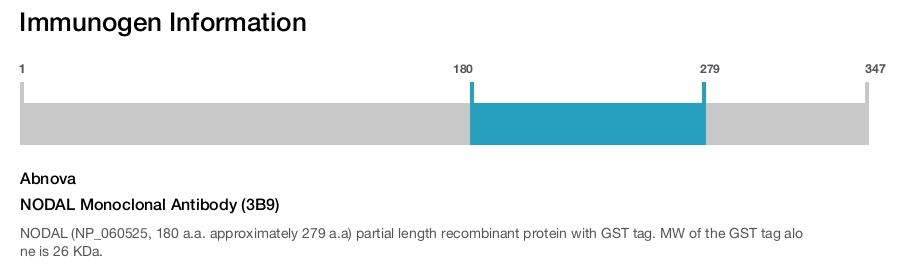 NODAL Monoclonal Antibody (3B9)