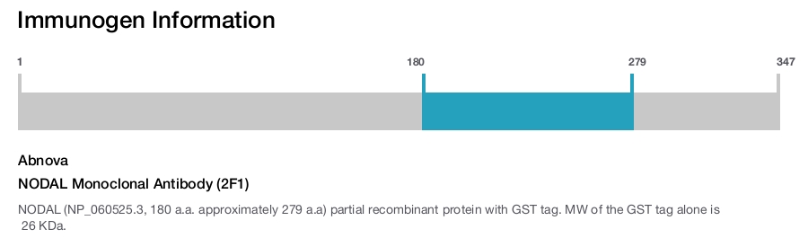 NODAL Monoclonal Antibody (2F1)
