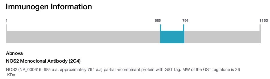 NOS2 Monoclonal Antibody (2G4)