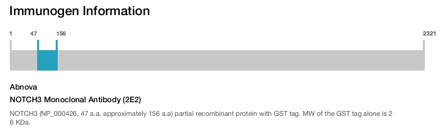 NOTCH3 Monoclonal Antibody (2E2)