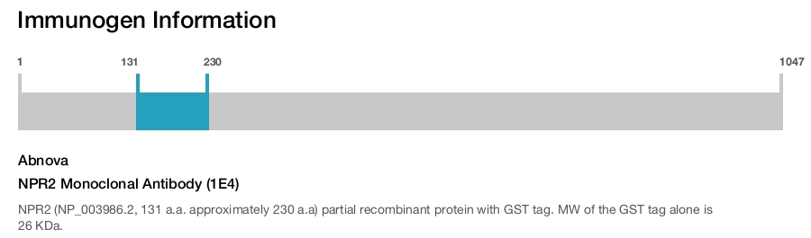 NPR2 Monoclonal Antibody (1E4)