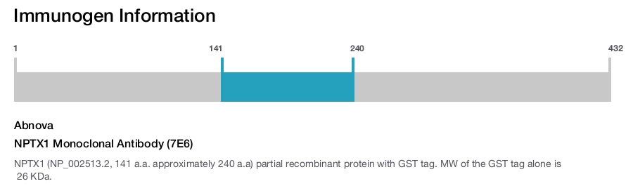 NPTX1 Monoclonal Antibody (7E6)