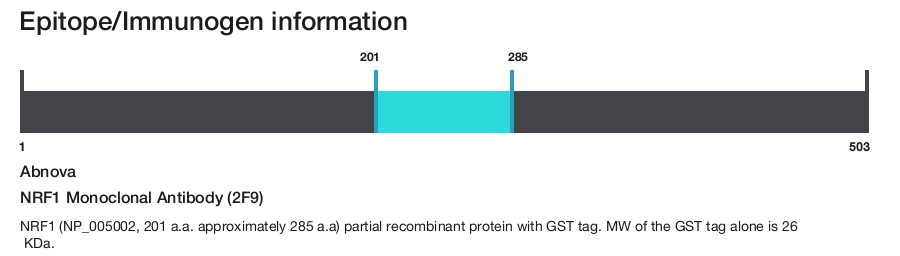 NRF1 Monoclonal Antibody (2F9)