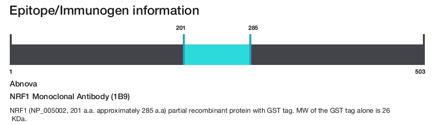 NRF1 Monoclonal Antibody (1B9)