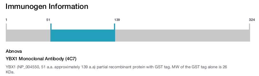 YBX1 Monoclonal Antibody (4C7)