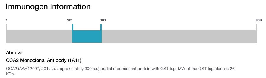 OCA2 Monoclonal Antibody (1A11)