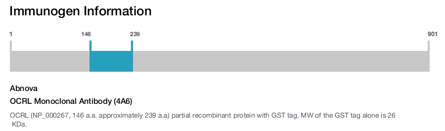 OCRL Monoclonal Antibody (4A6)