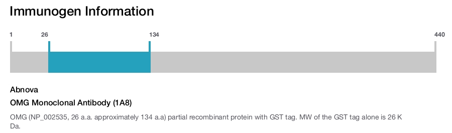 OMG Monoclonal Antibody (1A8)