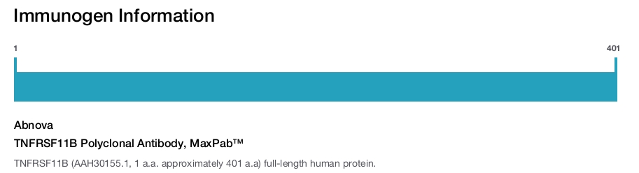 TNFRSF11B Polyclonal Antibody, MaxPab™