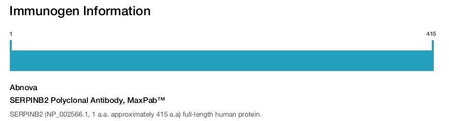 SERPINB2 Polyclonal Antibody, MaxPab™