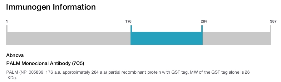 PALM Monoclonal Antibody (7C5)