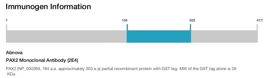 PAX2 Monoclonal Antibody (2E4)